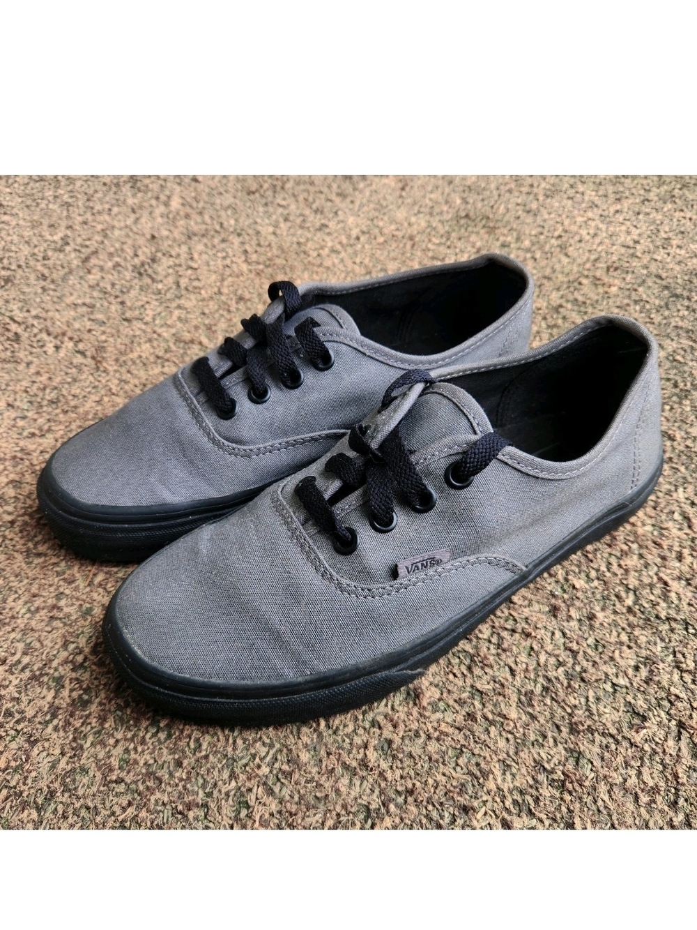 Vans Authentic Skateboard Shoes